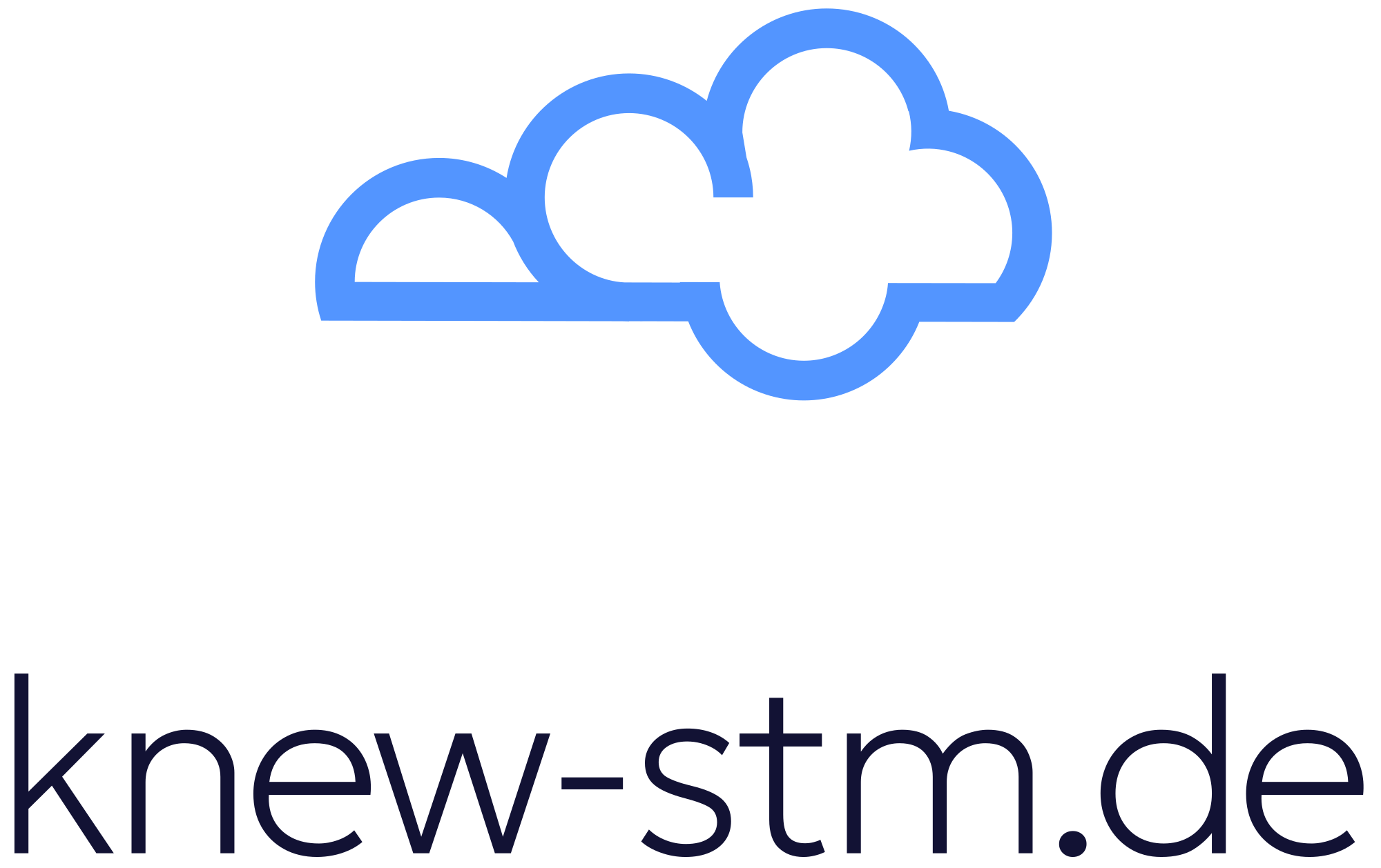 Knew STM Logo